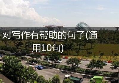 对写作有帮助的句子(通用10句)
