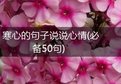 寒心的句子说说心情(必备50句)