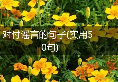 对付谣言的句子(实用50句)