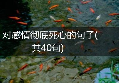 对感情彻底死心的句子(共40句)