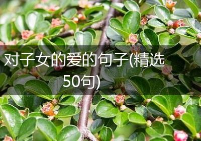 对子女的爱的句子(精选50句)