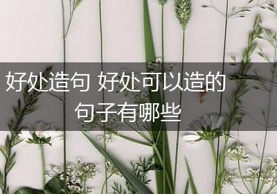 好处造句 好处可以造的句子有哪些