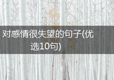 对感情很失望的句子(优选10句)
