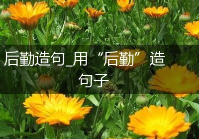 后勤造句_用“后勤”造句子