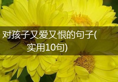 对孩子又爱又恨的句子(实用10句)