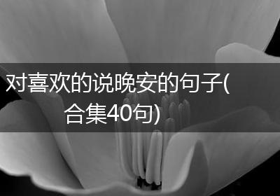 对喜欢的说晚安的句子(合集40句)