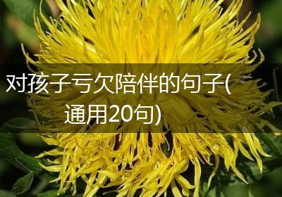 对孩子亏欠陪伴的句子(通用20句)