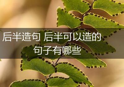 后半造句 后半可以造的句子有哪些