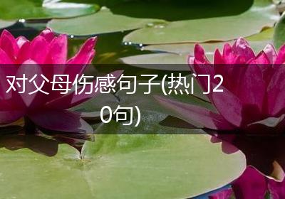 对父母伤感句子(热门20句)