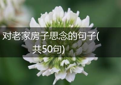 对老家房子思念的句子(共50句)