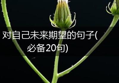 对自己未来期望的句子(必备20句)