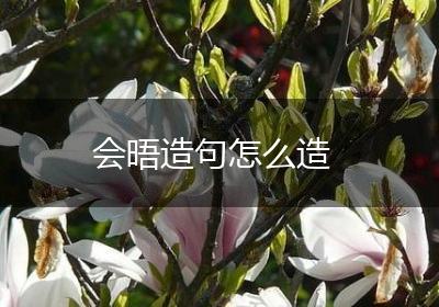 会晤造句怎么造