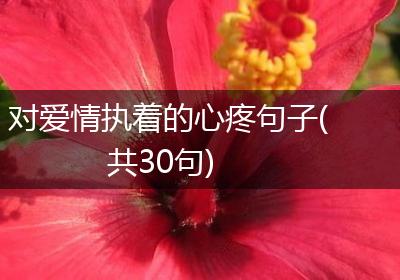 对爱情执着的心疼句子(共30句)