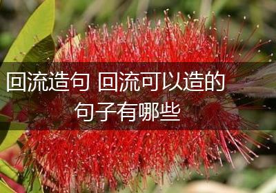 回流造句 回流可以造的句子有哪些