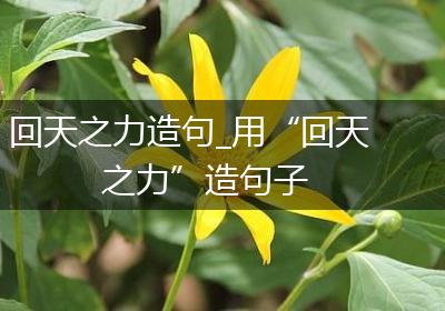 回天之力造句_用“回天之力”造句子