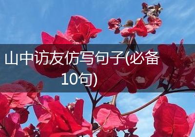 山中访友仿写句子(必备10句)