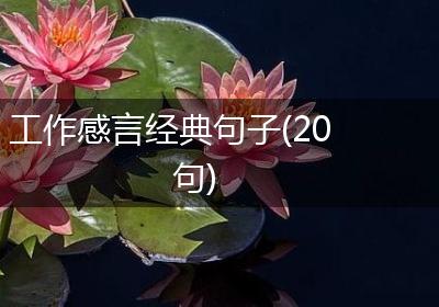 工作感言经典句子(20句)