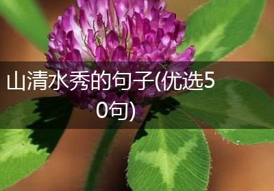 山清水秀的句子(优选50句)