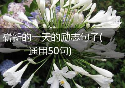 崭新的一天的励志句子(通用50句)