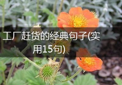 工厂赶货的经典句子(实用15句)