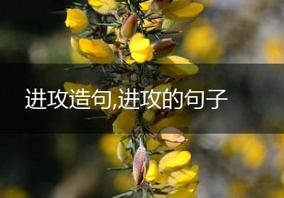 进攻造句,进攻的句子