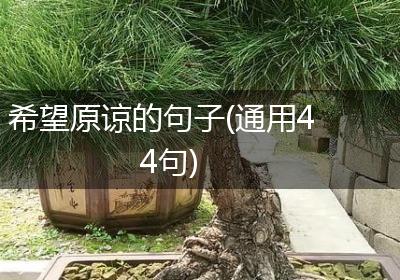 希望原谅的句子(通用44句)