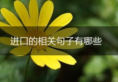 进口的相关句子有哪些