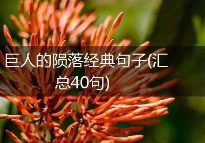 巨人的陨落经典句子(汇总40句)