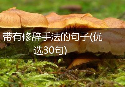 带有修辞手法的句子(优选30句)