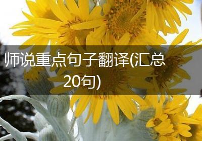 师说重点句子翻译(汇总20句)