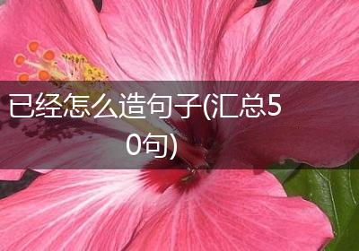 已经怎么造句子(汇总50句)