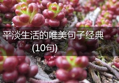 平淡生活的唯美句子经典(10句)
