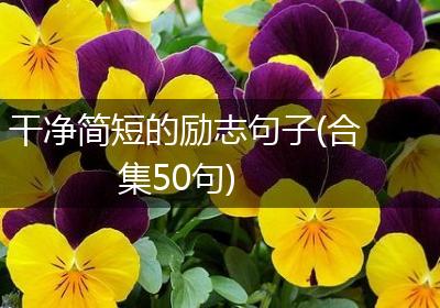 干净简短的励志句子(合集50句)