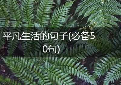 平凡生活的句子(必备50句)