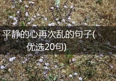 平静的心再次乱的句子(优选20句)