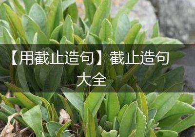 【用截止造句】截止造句大全