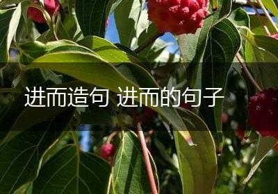 进而造句 进而的句子