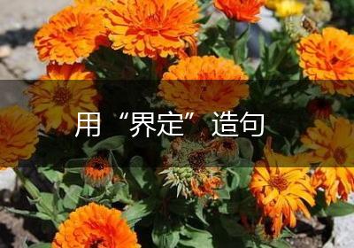 用“界定”造句