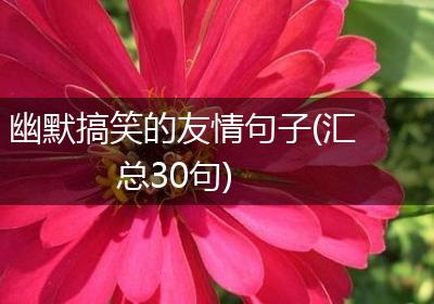 幽默搞笑的友情句子(汇总30句)