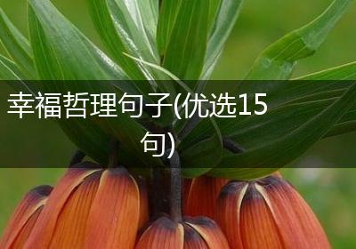 幸福哲理句子(优选15句)