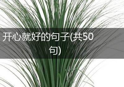 开心就好的句子(共50句)