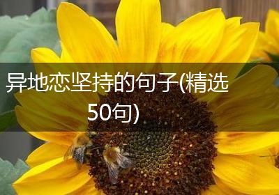 异地恋坚持的句子(精选50句)