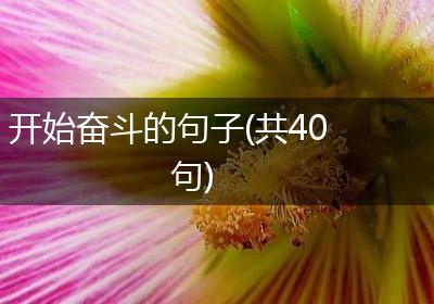 开始奋斗的句子(共40句)