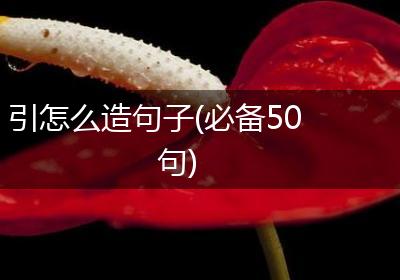 引怎么造句子(必备50句)
