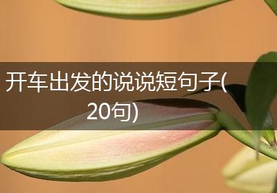 开车出发的说说短句子(20句)