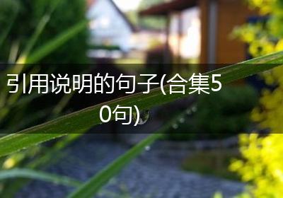 引用说明的句子(合集50句)