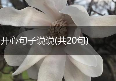 开心句子说说(共20句)