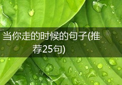 当你走的时候的句子(推荐25句)