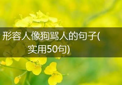 形容人像狗骂人的句子(实用50句)