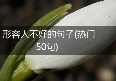形容人不好的句子(热门50句)